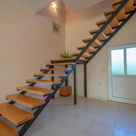 Artemis House Fiolitis